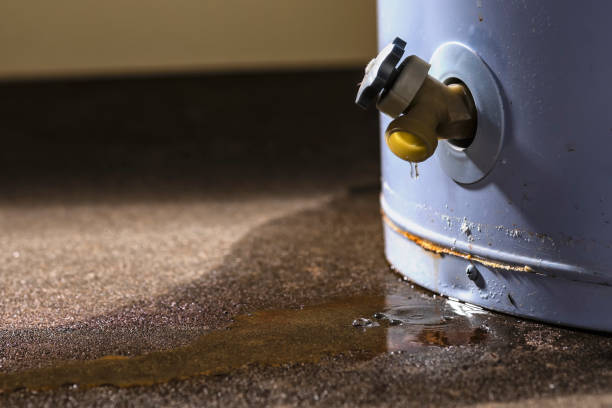 Best 24-hour water damage restoration  in Big Beaver, PA