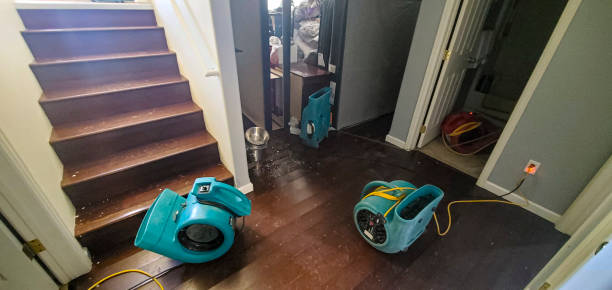 Best 24-hour water damage restoration  in Big Beaver, PA