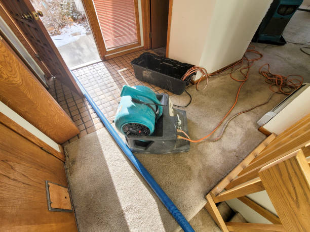 Best Flood damage cleanup  in Big Beaver, PA