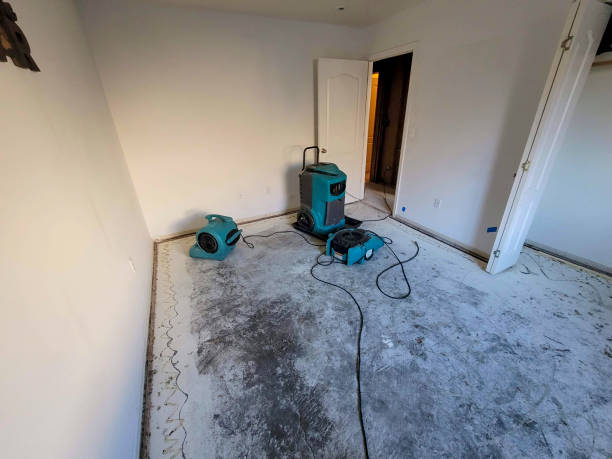 Best Mold removal after water damage  in Big Beaver, PA