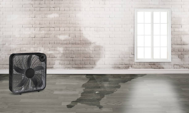 Water damage restoration insurance claims in PA
