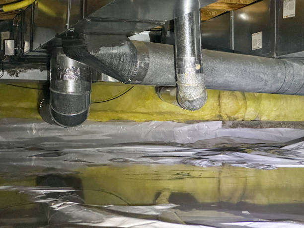 Best Carpet water damage restoration  in Big Beaver, PA