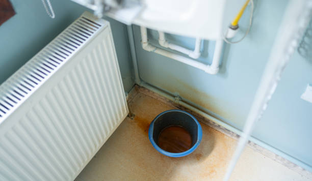 Best Carpet water damage restoration  in Big Beaver, PA