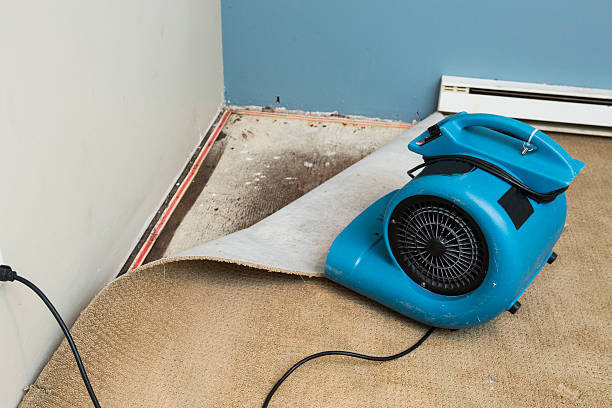 Best Basement water damage restoration  in Big Beaver, PA